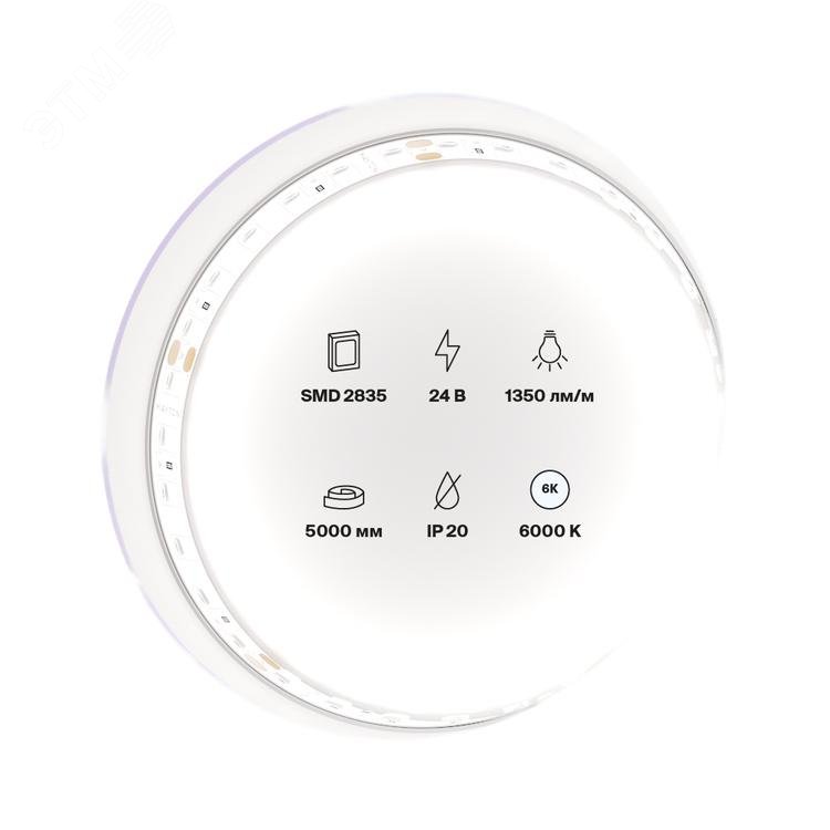 Лента светодиодная 24В 2835 14,4Вт/м 6000K 5м IP20 10150