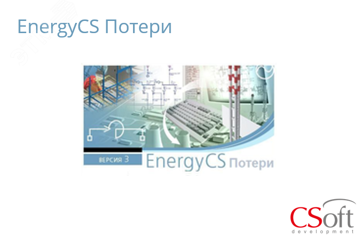 Право на использование программного обеспечения EnergyCS Потери (3.x, локальная лицензия)