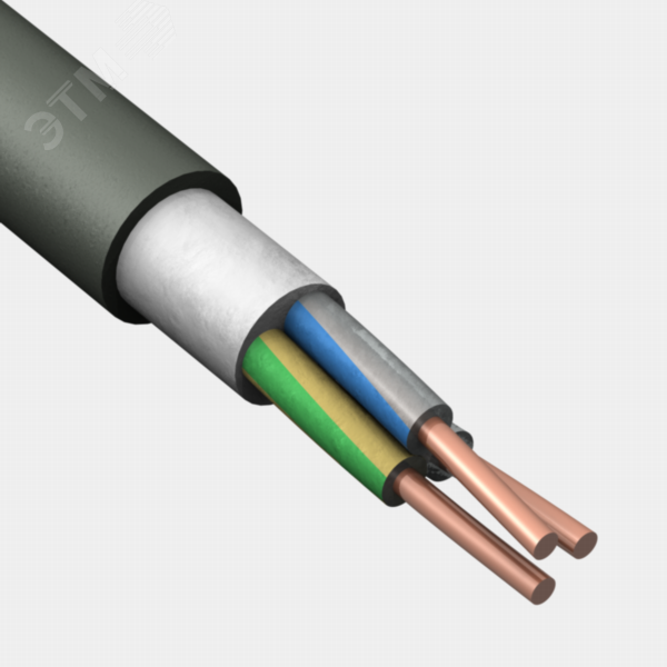 Кабель силовой ПвПГнг(А)-HF 3х10(N. PE) - 0.66 ТРТС