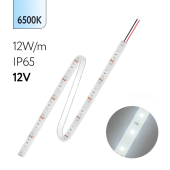 FL-Strip 2835 | 12V IP65 6500K 12W/m 1250Lm/m | Катушка - 5 метров | - Светодиодная лента FOTON LIGHTING