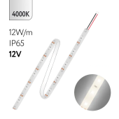 FL-Strip 2835 | 12V IP65 4000K 12W/m 1250Lm/m | Катушка - 5 метров | - Светодиодная лента FOTON LIGHTING