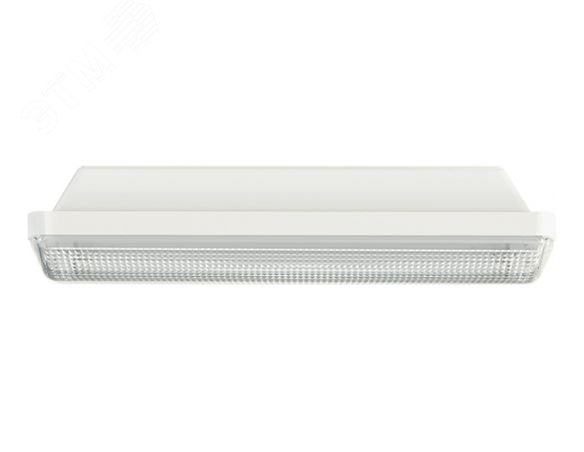 Светильник TLM2 CL LED 1015лм Ra80 IP54