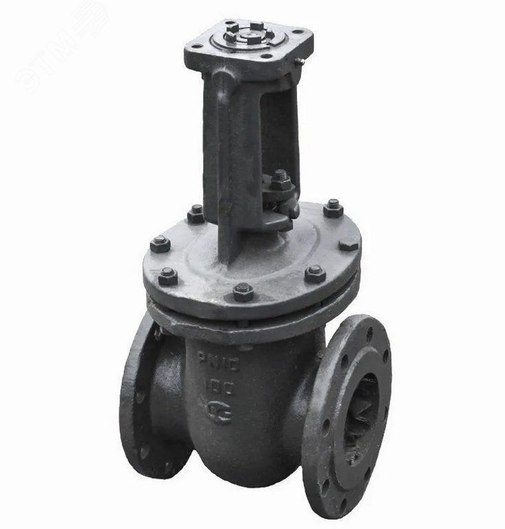 Задвижка чугунная параллельная с выдвижным шпинделем 30ч906бр Ду 50 Ру16 под электропривод