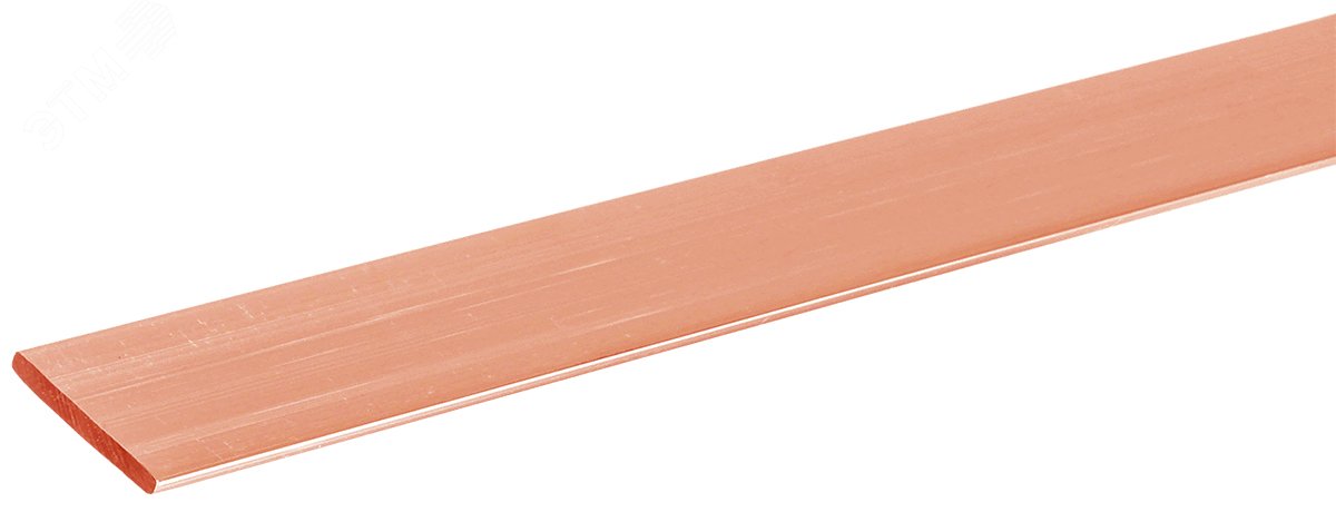 Шина М1Т 5х30х4000мм