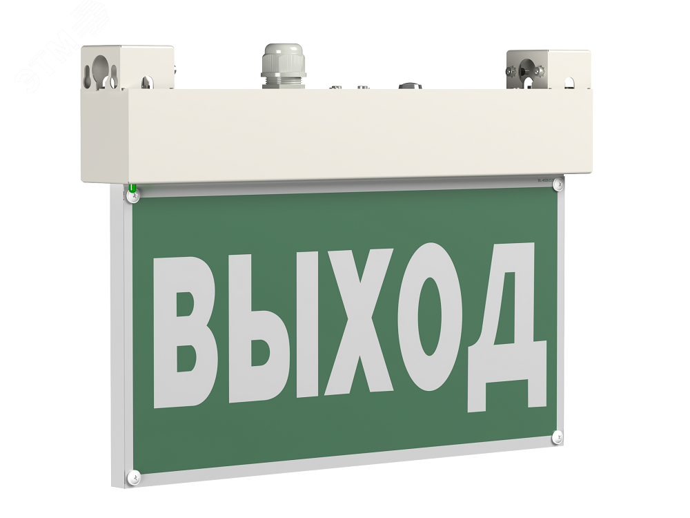 Световой указатель BS-EVERON-51-S1-INEXI2