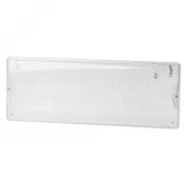 Аварийный светильник DPA-301-1-65 постоянный 40LED 3ч IP65 NiCD