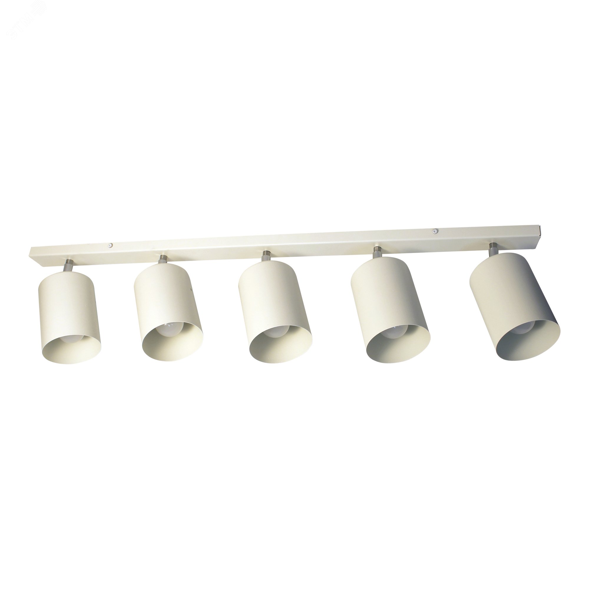 Светильник Спот НПБ 01-5х60-513 бел.матовый/белый ИУ