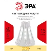 Светодиодные LED модули MZ2835-03-12V-2835-IP65-5m-2700 (50/800) ЭРА