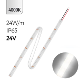 FL-Strip 2835 | 24V IP65 4000K 24W/m 2500Lm/m | Катушка - 5 метров | - Светодиодная лента FOTON LIGHTING