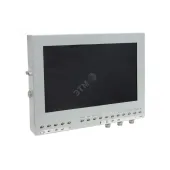Монитор 24'' взрывозащищенный, 1920x1080, IP68, из нержав стали, аналоговый