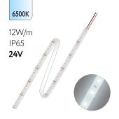 FL-Strip 2835 | 24V IP65 6500K 12W/m 1250Lm/m | Катушка - 5 метров | - Светодиодная лента FOTON LIGHTING