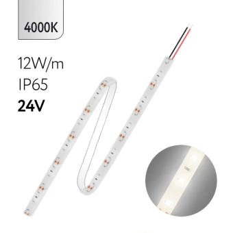FL-Strip 2835 | 24V IP65 4000K 12W/m 1250Lm/m | Катушка - 5 метров | - Светодиодная лента FOTON LIGHTING