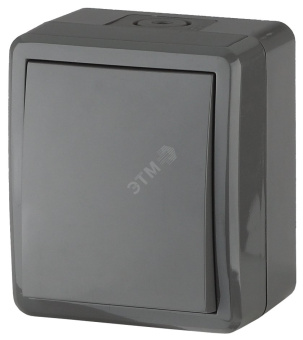 Переключатель IP54, 10АХ-250В, ОУ, Эра Эксперт, серый,11-1403-03
