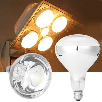 PHILIPS R125 IR375CH E27 230-250V d125x183 прозрачная - инфракрасная лампа