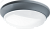 Светильник светодиодный ДПБ-01-ПП-24-GR-4К-IP65-А1-SNR