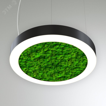 Светильник светодиодный RVE-LBX-MOSS-RING-700-P (Кольцо 700х700х100мм S80мм 48Вт Подвесной 4000К Белый)