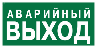 Знак безопасности BL-3015B.E23''Аварийный выход''