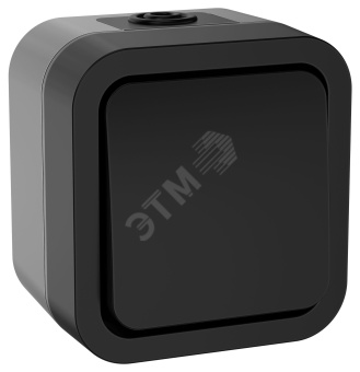 Выключатель кнопочный TORS 10А IP55 графит