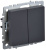 BRITE Выключатель двухклавишный 10А ВС10-2-0-БрГ графит BRITE Выключатель двухклавишный 10А ВС10-2-0-БрГ графит