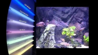 F18W/174 AQUASTAR G13 Т8 | 10000K d26x590mm Пресноводный + Морской аквариум | - Лампа люминесцентная для аквариума SYLVANIA