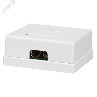 Компьютерная розетка 8P8C (RJ-45), FTP, Cat.5e, 2 порта