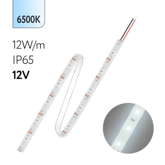 FL-Strip 2835 | 12V IP65 6500K 12W/m 1250Lm/m | Катушка - 5 метров | - Светодиодная лента FOTON LIGHTING