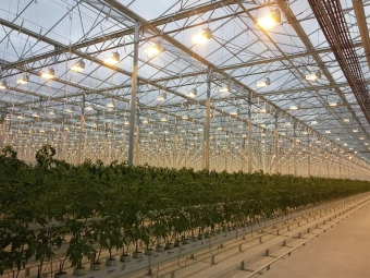 SHP-T 400W E40 GROXPRESS 230V 4.4A 55000lm d48x285 - Натриевая лампа для теплиц SYLVANIA