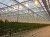 SHP-T 400W E40 GROXPRESS 230V 4.4A 55000lm d48x285 - Натриевая лампа для теплиц SYLVANIA SHP-T 400W E40 GROXPRESS 230V 4.4A 55000lm d48x285 - Натриевая лампа для теплиц SYLVANIA