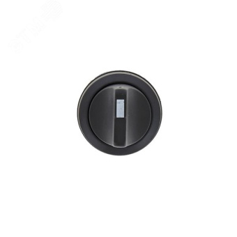 Переключатель SW2C-11X/2 2P 1з+1р IP54