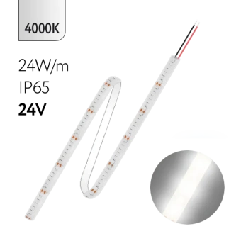 FL-Strip 2835 | 24V IP65 4000K 24W/m 2500Lm/m | Катушка - 5 метров | - Светодиодная лента FOTON LIGHTING