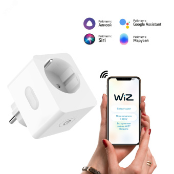 Розетка умная AC 207-253В max 2300 Вт с заземлением Smart Home