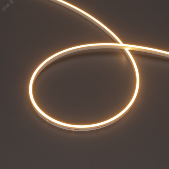 Лента герметичная MOONLIGHT-SIDE-M196-03x06mm 24V Warm2700 (7.2 W/m, IP54, 2216, 5m, wire x2) (Arlight, Вывод кабеля прямой)