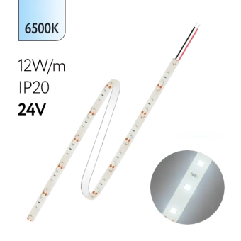 FL-Strip 2835 | 24V IP20 6500K 12W/m 1250Lm/m | Катушка - 5 метров | - Светодиодная лента FOTON LIGHTING