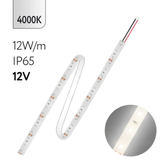FL-Strip 2835 | 12V IP65 4000K 12W/m 1250Lm/m | Катушка - 5 метров | - Светодиодная лента FOTON LIGHTING