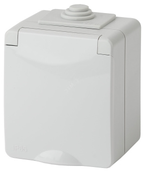 Розетка 2P+E IP65, шторки, 16A-250В, ОУ, Эра Эксперт, серый, 11-2602-03
