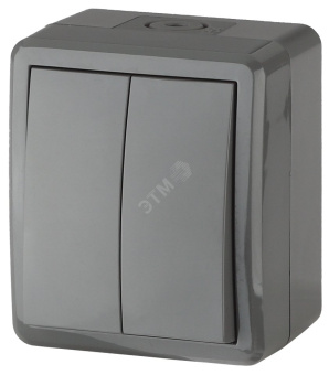 Выключатель двойной IP54, 10АХ-250В, ОУ, Эра Эксперт, серый,11-1404-03
