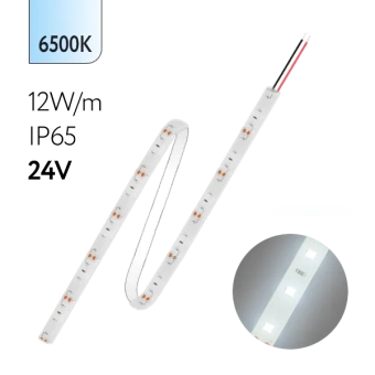 FL-Strip 2835 | 24V IP65 6500K 12W/m 1250Lm/m | Катушка - 5 метров | - Светодиодная лента FOTON LIGHTING