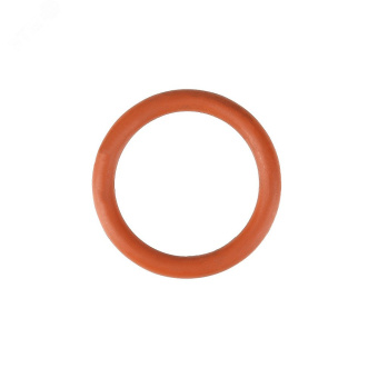 Кольцо уплотнительное 22 FPM (Viton)