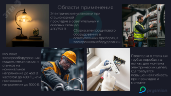 Провод силовой ПуВнг(А)-LS 10бел